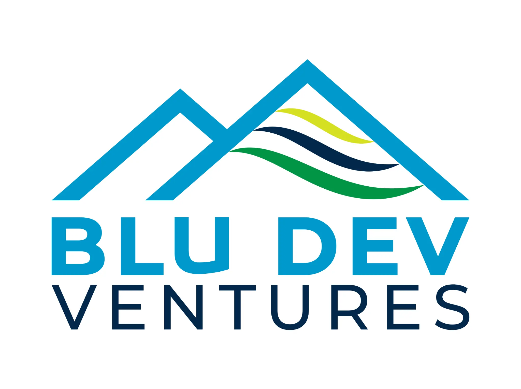 Blu Dev Ventures